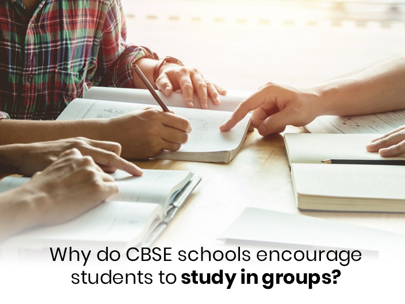 Why do schools encourage students to study in&nbsp;groups?